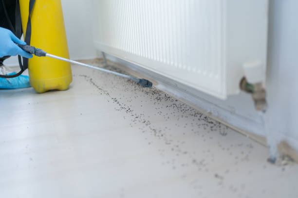 Best Pest Control Near Me in Burns, OR